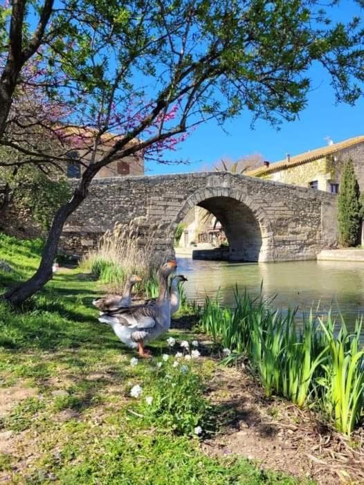 Au Canalet - Le Somail Extérieur photo